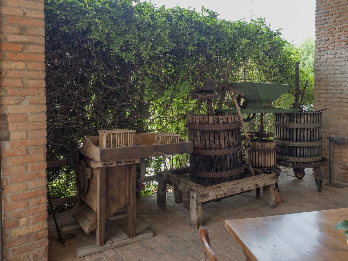 Agriturismo Il Palazzone Montegalda Екстериор снимка